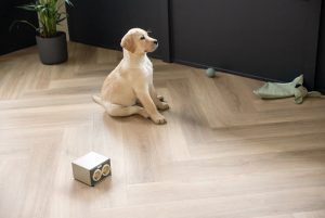 Floer-Walvisgraat-PVC-vloer-Orka-Onbehandeld-hond-web-top-5-visgraat-4-tips-voor-een-kleine-ruimtewalvisgraat-vloer-in-commerciele-ruimtes