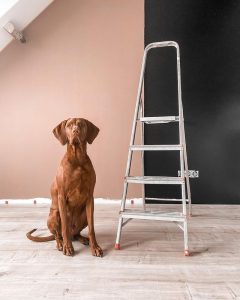 Floer-Country-House-Laminate-Light-Oak-how-to-install-extra-wide-laminate