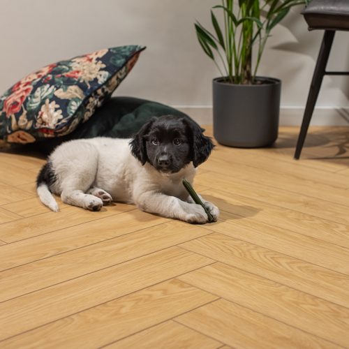 What is anti-slip? User and animal friendly floors