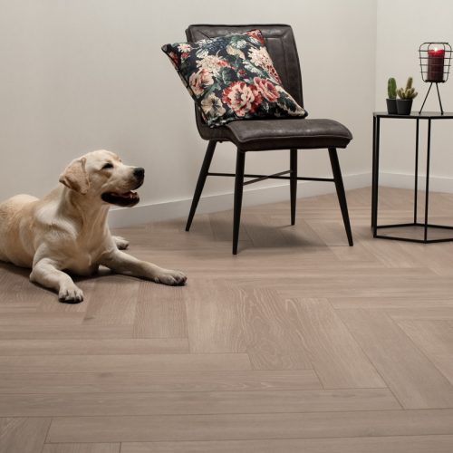 Trendy colours for Laminate Flooring