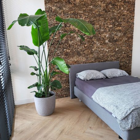 Floer-Akucork-Wall-Panels-Untreated-Tree-Bark-product-17