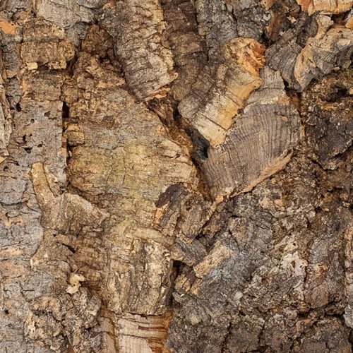 Akucork Wall Panels | New at Floer