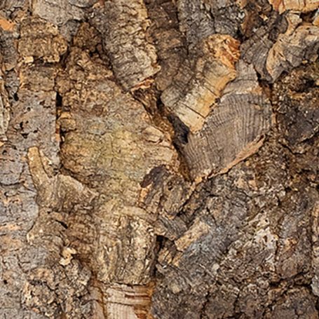 Floer-Akucork-Wall-Panels-Tree-Bark-Untreated-product-155