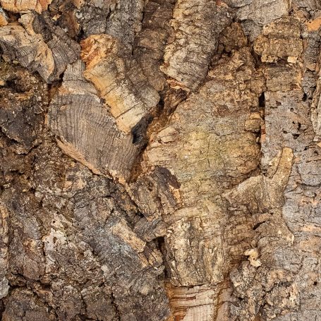 Floer-Akucork-Wall-Panels-Tree-Bark-Untreated-product-5