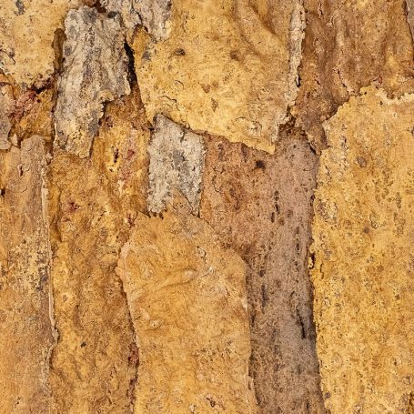 Floer-Akucork-Wall-Panels-Sandstone-Natural-product-5