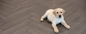 Floer-Herringbone-Laminate-floor-Mocha-Black-Oak-blog-24