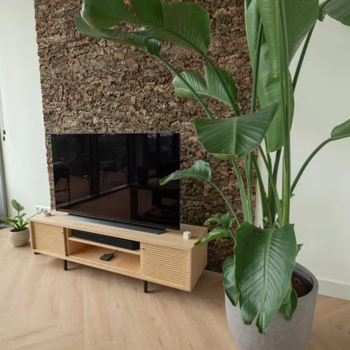 Earth Day 2026: how Floer contributes to a greener future